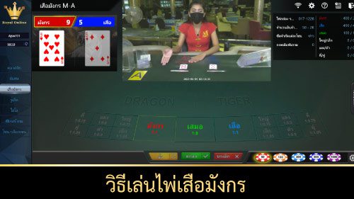 วิธีเล่น