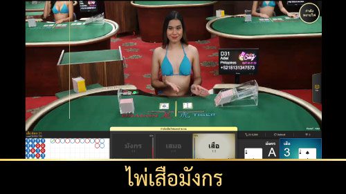 ไพ่เสือมังกร