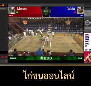 ไก่ชนออนไลน์