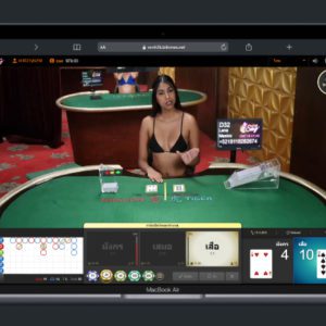 เสือมังกร AE Sexy คอม