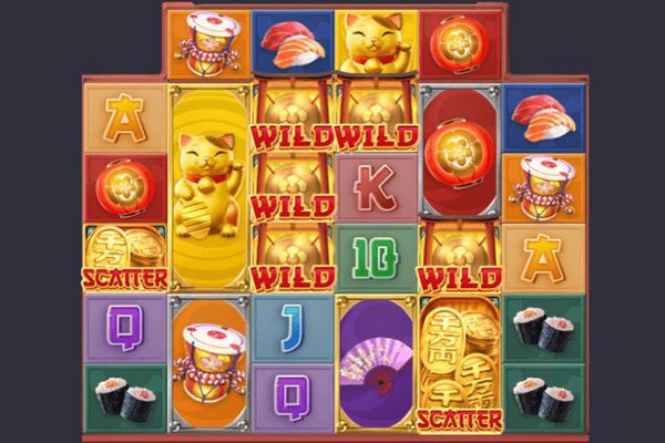 Wild กำลังมา