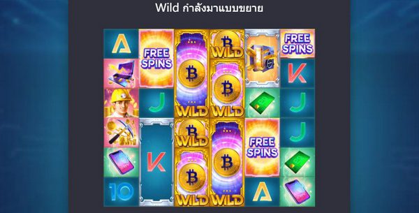 ฟีเจอร์ไวลด์