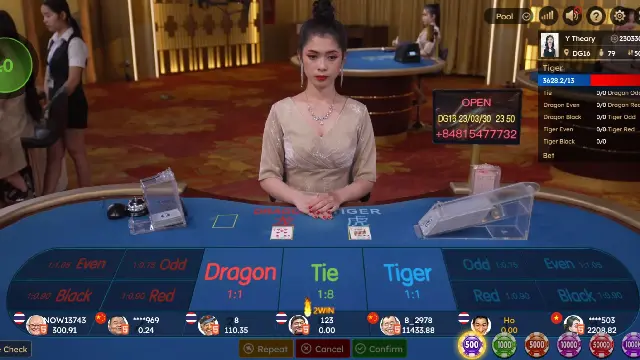 ประเภทเดิมพันเสือมังกร dg